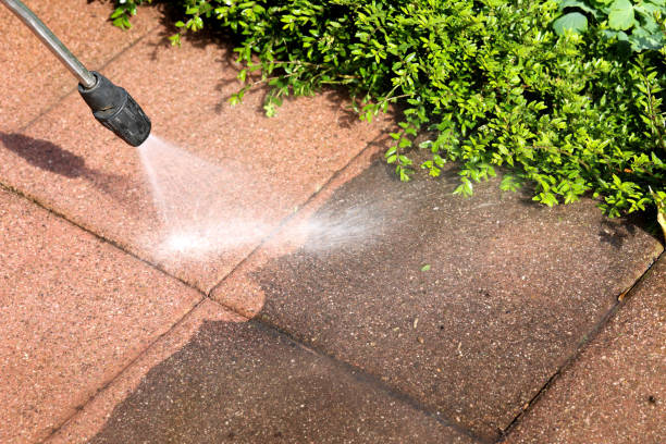 Best Roof Pressure Washing  in Eatonville, FL